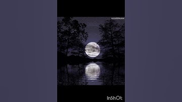 قران كريم # سورة العنكبوت # راحة نفسية 🥺 ،# اجري لي ولك 🌱