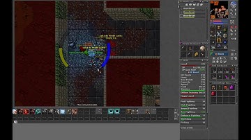 ED230+ hunt Medusa e Serpent Spawn | Tibia global live diPower TV