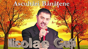 NICOLAE GUTA - COLAJ BANATENE