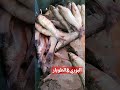 Ш Щ ЩЃШ Щ ШЁЩЉЩ Ш Щ ШЁЩ Ш ЩЉ Щ Ш Щ Ш Щ ШЁШ Ш ШҐШ ШЄЩ Ш ЩЃрџ рџ ірџЏ Ш Щ ЩЃШ Щ ШЁЩЉЩ Ш Щ ШЁЩ Ш ЩЉ Щ Ш Щ Ш Щ ШЁШ Ш ШҐШ ШЄЩ Ш ЩЃрџ рџ ірџЏ