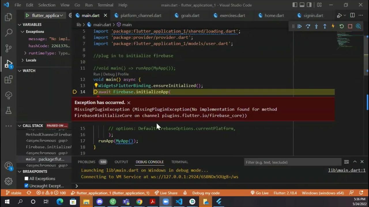 Flutter exceptions. Flutter exceptions