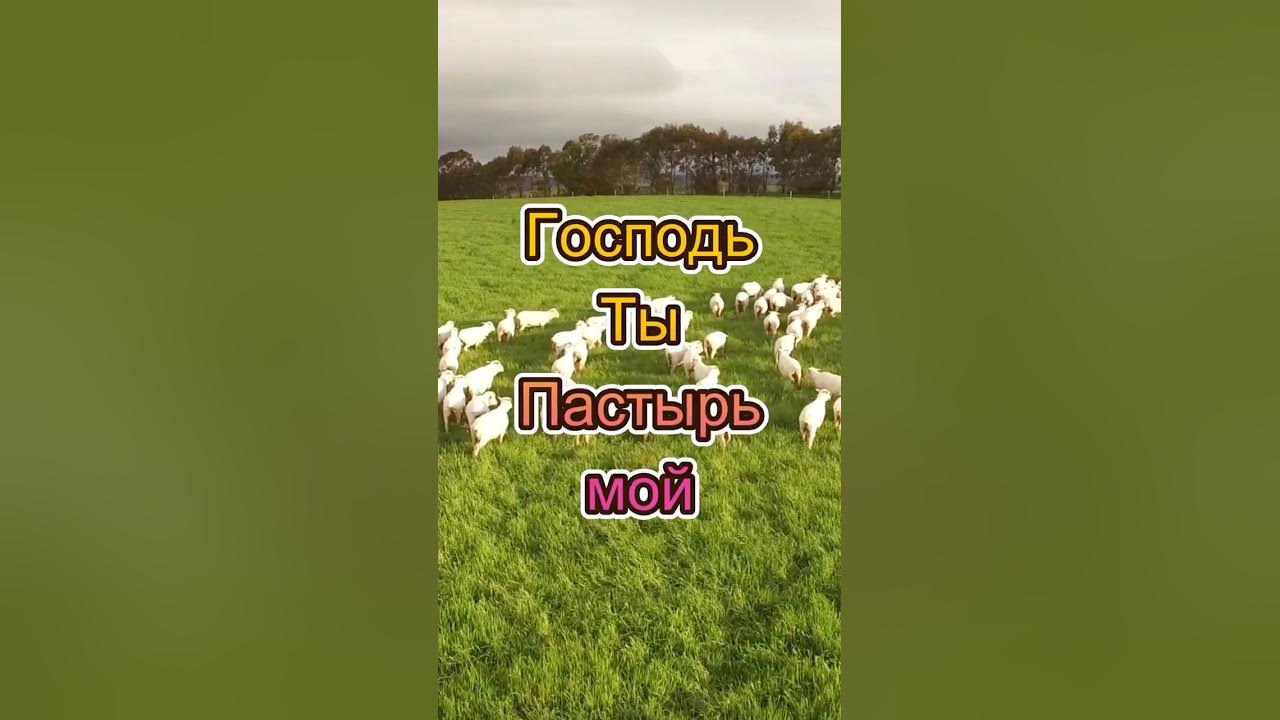 Господь Ты Пастырь Мой | Христианская Песня | Сольная Композиция#shorts2025 #песнипоклонения #sunoai