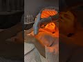 Руки выдают возраст сильнее лица? Вот, как это исправить без операций