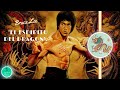 Bruce Lee ● El maestro y fundador del Jeet kune do.