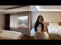 Южная Корея: как я бесплатно путешествую? 😳🗺🇰🇷