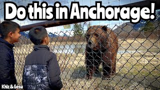 Alaska Wildlife Conservation Center  Best Thing To Do near Anchorage (Full Tour)