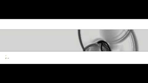 Compressible Flow: Shock-Bubble Interaction