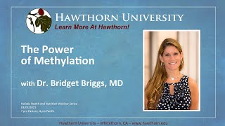 Celebrity The Power of Methylation with Dr. Bridget Briggs, MD Profile
