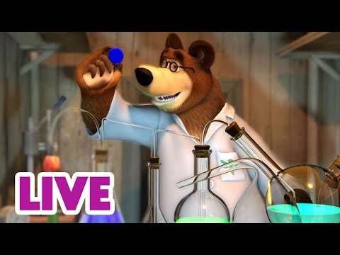 🔴 LIVE STREAM 👱‍♀️🐻 곰의 엉뚱한 과학 쇼 🧪 Bear’s <strong>Silly</strong> Science Show 🙉 Masha and the Bear TV