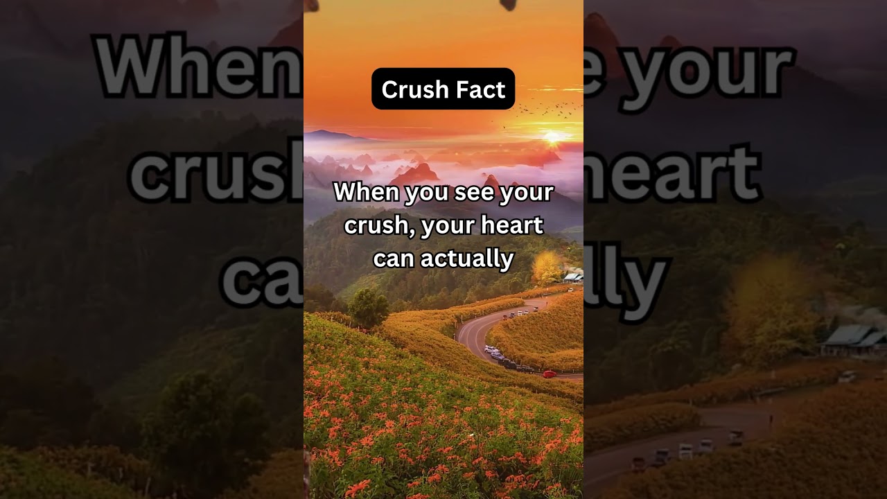 Crush Fact / BHS Vivid Vlogger 