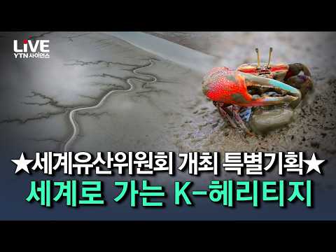 ★2026 부산 세계유산위원회 개최★ 세계로 가는 'K-헤리티지' 한국 갯벌의 가치를 알리다! [반복재생] / YTN 사이언스