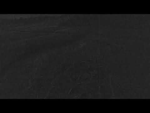 camera iphone 8 plus apk Cape Cod Museum of Natural History Live Stream