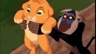 The Funniest Lion King Gif - Youtube