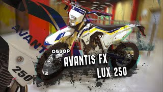 Обзор Avantis FX lux 250