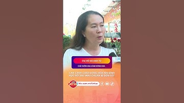 CẬN CẢNH CÁNH ĐỒNG HOA NHỊ BÌNH RỰC RỠ SẮC MÀU CHUẨN BỊ ĐÓN TẾT