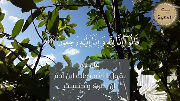 وبشر الصابرين | القارئ ياسر الدوسري | حالات واتس اب قران كريم  سورة البقرة
