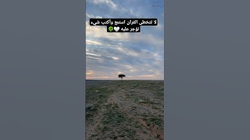 تلاوة عطره هادئه خاشعة بصوت الشيخ  محمد أيوب  #محمد_ايوب #تلاوة_خاشعة #قرآن #تلاوة_هادئة