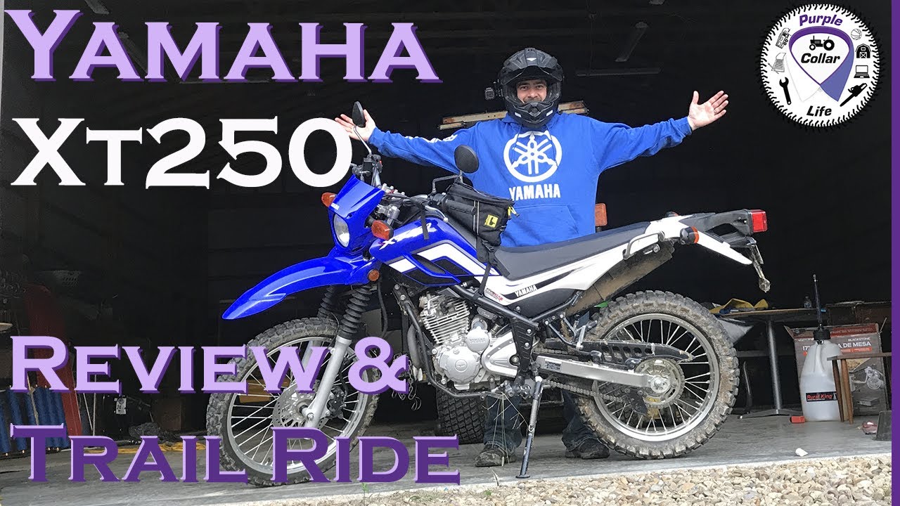 551/3y3/5Y3 Câble de tachymètre Yamaha Montre de 2 m 50 Chappy/XT 250/550 551/3y3/5Y3 Câble de tachymètre Yamaha Montre de 2 m 50 Chappy/XT 250/550