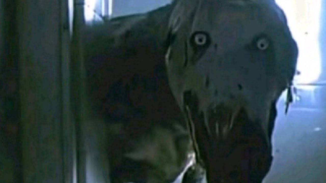 Creepypastas con sabor a terror AUUUU 🗣️🗣️❗❗