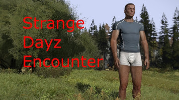 Strange Dayz Encounter