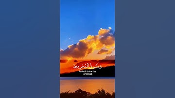 فلا تعجل عليهم 🌿تلاوة خاشعة من سورة مريم 🌿للقارئ عبدالرحمن مسعد 🌿