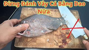 Hôm Nay Em Phát Hiện Cách Đánh Vảy Cá Không Cần Dùng Dao Cực Hay. Mẹo Cạo Vảy Cá Không Văng Vảy Ra