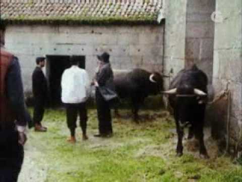Resultado de imaxes para historias de galicia