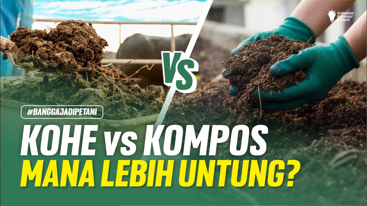 JANGAN SALAH PILIH! CARA TEPAT MENGGUNAKAN PUPUK KANDANG DAN KOMPOS UNTUK TANAMAN