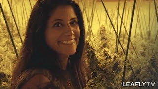 Growers Episode 4 - Giving Tree Wellness Center