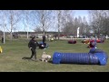 inoff agility skövde bhk || tunnelklass B