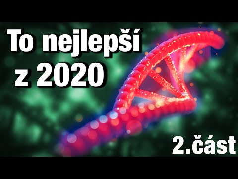 Video: Nejlepší Alzheimerovy Blogy Roku 2020