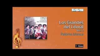 Video thumbnail of "Ramona Galarza y Los Reyes del Chamamé - Paloma blanca"