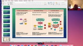 APHY 101 Lecture 10 ATP