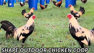 Big Farm USA Shape Outdoor Chicken Coop Free Range Feeding Time 