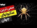 برترین ها 5 تا از سمی ترین و خطرناک ترین عنکبوت های جهان 