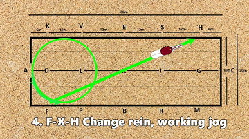 Western Dressage Introductory Level Test 3