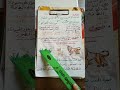 اقوى شرح مصدر الطاقة الشمس تابعوني علوم مس علياء شهاب اقوى شرح مصدر الطاقة الشمس تابعوني علوم مس علياء شهاب
