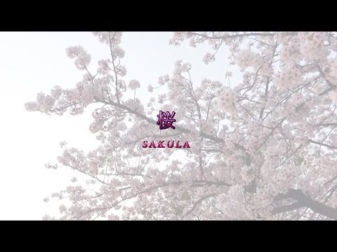 #桜 #さくら #サクラ #桜ソング #日本のうた #叙情歌 #song #加藤洋一 #Sakula #Sakura #心のうた #希望のうた #3月11日 #心を癒す歌 #心にしみる歌