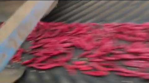 Chili color sorter,chili sorting machine
