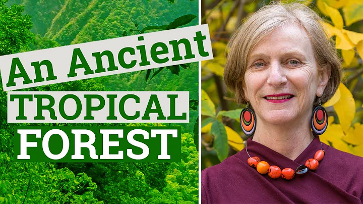 Visit an ancient tropical forest with Catherine Potvin