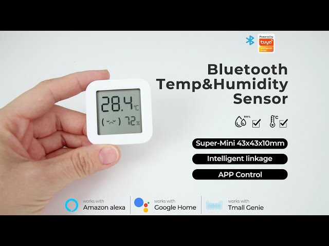 ZigBee Temperature And Humidity SensorMini Smart Thermometer Detector –  MOES