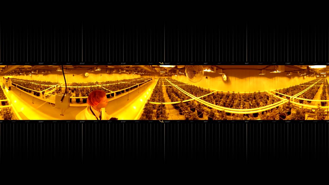 360° Tour of Alberta Aurora Cannabis CBC