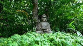 The Hidden Oasis eco-resort, Pune
