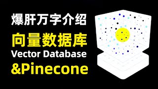 【人工智能】爆肝万字介绍向量数据库和Pinecone | 向量搜索的演化过程 | LLM是人类的大脑，向量数据库就是海马体 | Pinecone的发展历程 | Pinecone直接和潜在竞争对手有哪些