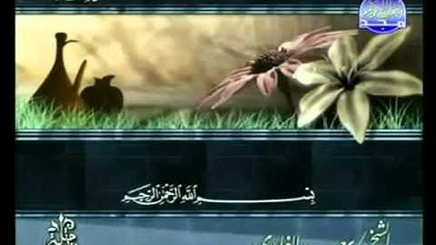 القران الكريم|الجزء التاسع والعشرون (29)|الشيخ سعد الغامدى