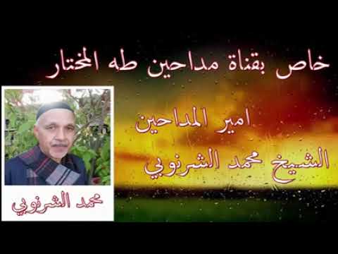 الشيخ محمد الشرنوبي إبن المدد له نور حصريات مداحين طه المختار لا تنسي الإشتراك