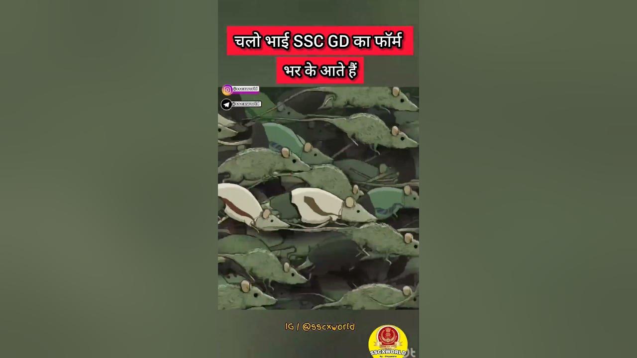 chalo-ssc-gd-ka-form-bharane-chalte-hai-sscgd-tendingvideo
