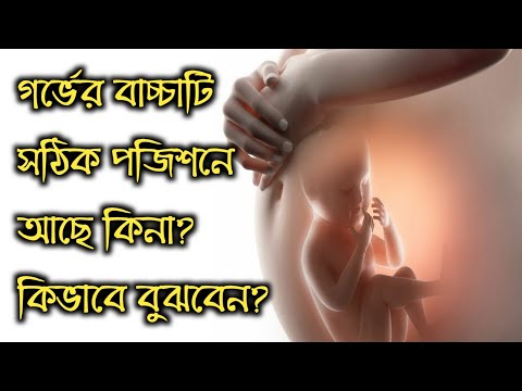 ভিডিও: হামস্টার গর্ভবতী কিনা তা কীভাবে বলবেন