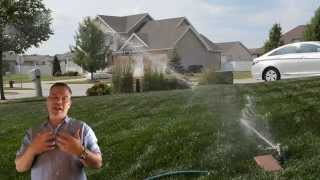 How To Water Your Lawn : Watering Tips