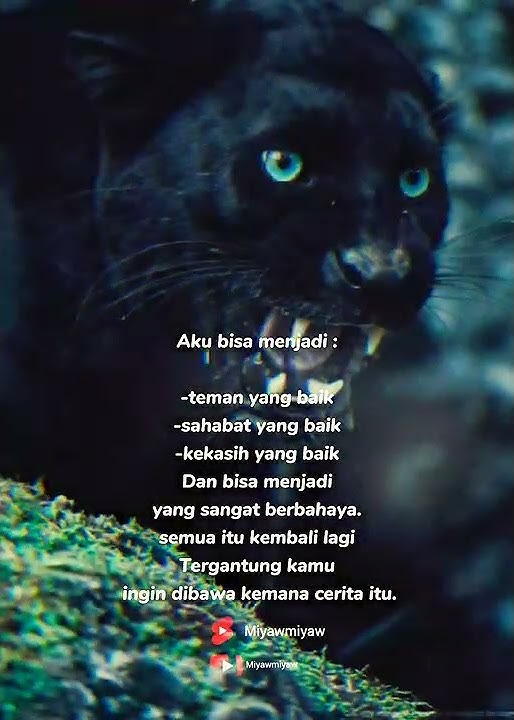 Story wa macan kumbang l pangkatmu tak berarti dimataku #shorts #status #attitude #attitudestatus